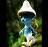 smurf cat