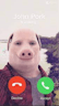 john pork is calling...