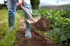 Shovel Digging Dirt