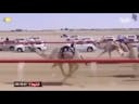 Camel racing sped up