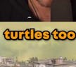 Uh Oh Don’t Shoot At Me I Like Turtles Too