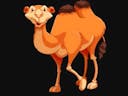 Funny Camel Noise