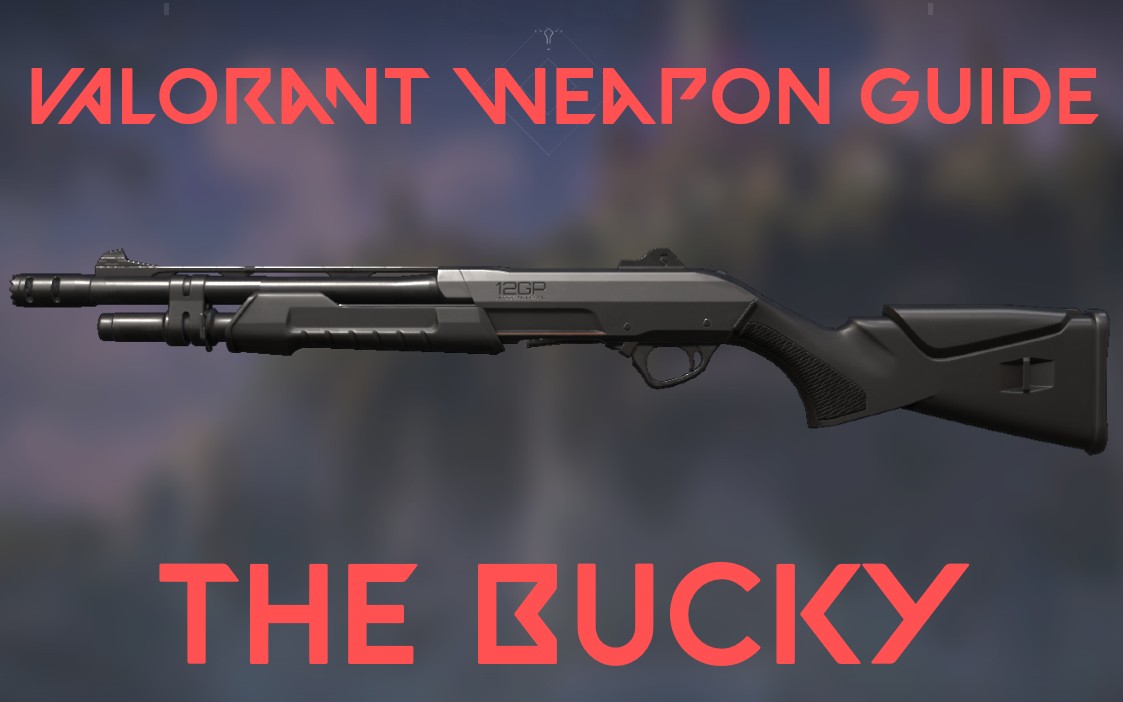 Valorant Weapon Bucky Alternate 