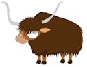 Yak