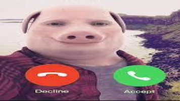 John Pork Is Calling Funny Answer Call Phone Png, John Pork