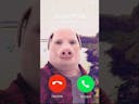 John Pork Is Calling....