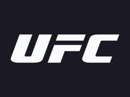 UFC soundboard