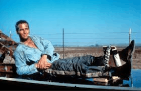 Cool Hand Luke