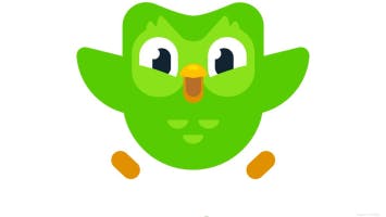 Duolingo Sounds soundboard