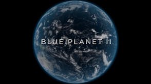 The Blue Planet soundboard