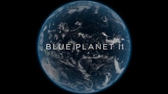 The Blue Planet