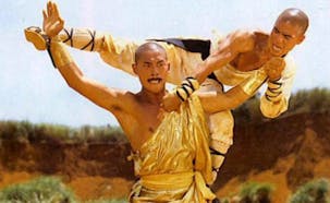 Shaolin vs Lama