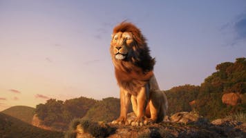 The Lion King soundboard