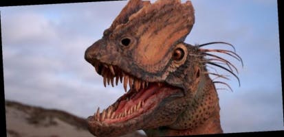 Dilophosaurus