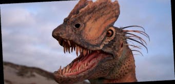 Dilophosaurus Sound Effects soundboard