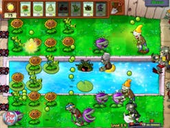 Plants vs Zombies (PVZ)