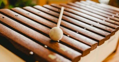 Xylophone and Marimba  soundboard