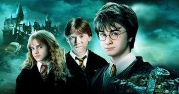 Harry Potter: The Chamber of Secrets