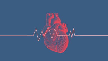 Heartbeat Sound Effects
