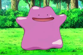 Ditto