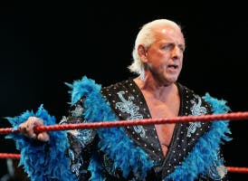 Ric Flair soundboard