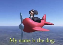 Dog of Wisdom