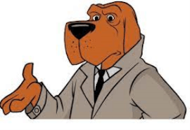 McGruff The Crime Dog