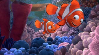 Finding Nemo