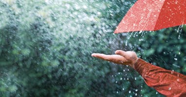 Rain Sound Effects soundboard