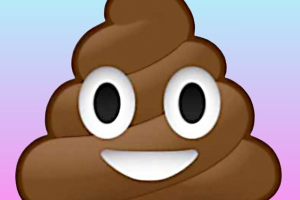 Toilet Poop Sounds and Sound Effects - Voicy