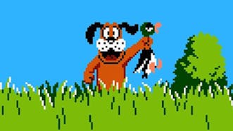 Duck Hunt