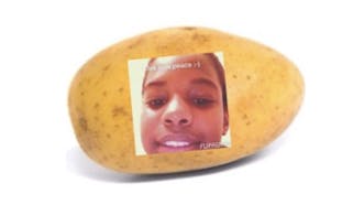 A Potato Flew Around My Room