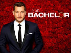 The Bachelor