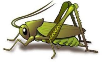 Cricket Sounds soundboard