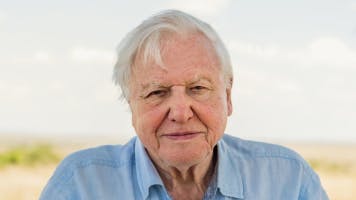 David Attenborough soundboard
