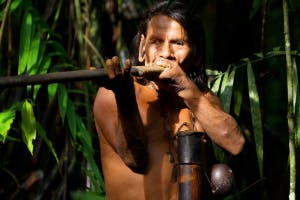 Jungle Life soundboard