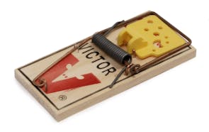 Mouse Trap Sound Effects