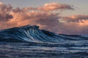 Waves Sound Effects soundboard