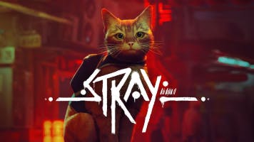Stray soundboard