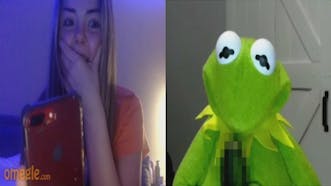 Kermit The Frog (Omegle)