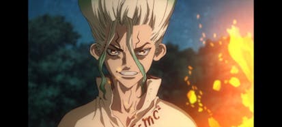 Dr. Stone