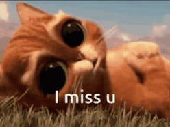 Miss You Memes